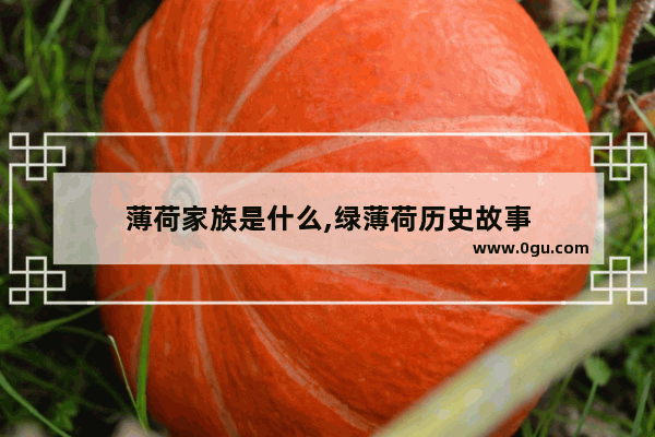 薄荷家族是什么,绿薄荷历史故事