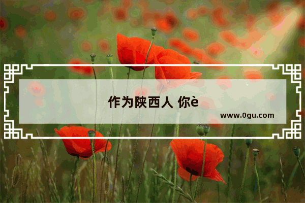 作为陕西人 你觉得最值得你骄傲的陕西特色在哪