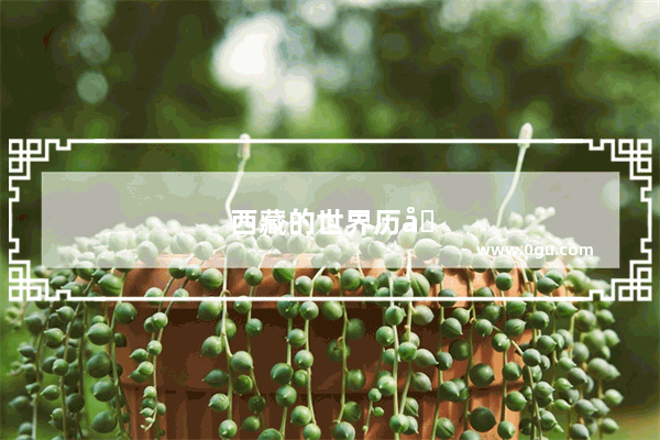西藏的世界历史书