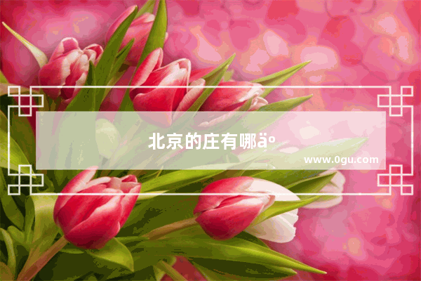 北京的庄有哪些北京带兴庄地名