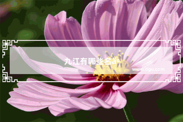 九江有哪些名人
