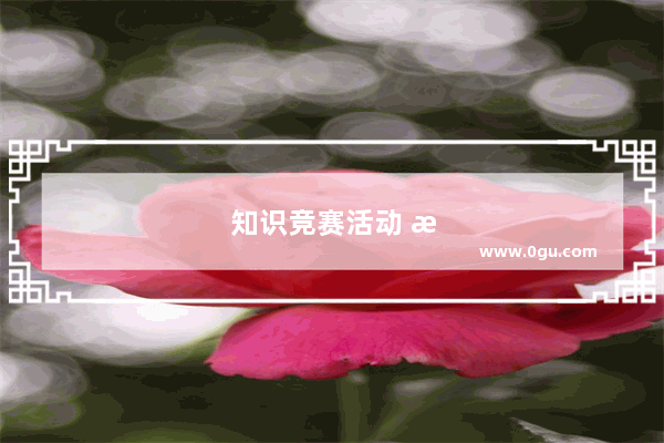 知识竞赛活动 探索世界历史的奇妙之旅