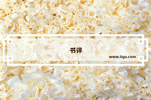 书评
