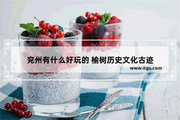 兖州有什么好玩的 榆树历史文化古迹