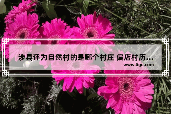 涉县评为自然村的是哪个村庄 偏店村历史文化