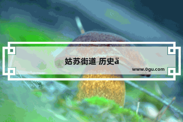姑苏街道 历史与人物