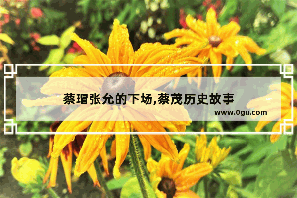 蔡瑁张允的下场,蔡茂历史故事