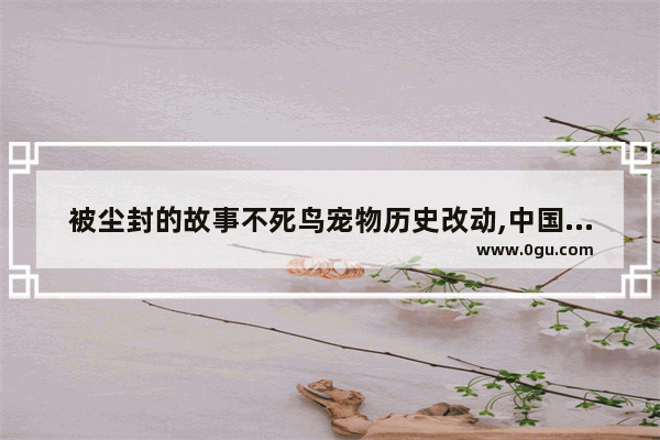 被尘封的故事不死鸟宠物历史改动,中国历史鸟类