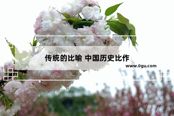 传统的比喻 中国历史比作
