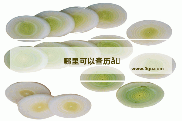 哪里可以查历史人物生平