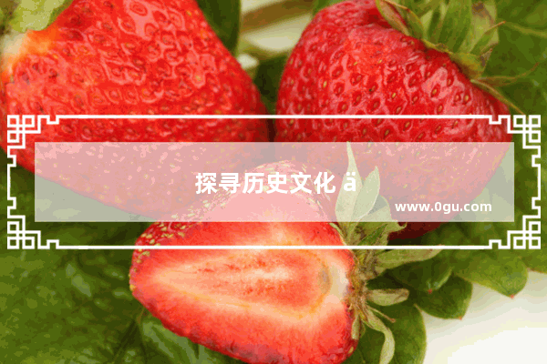 探寻历史文化 传承华夏文明