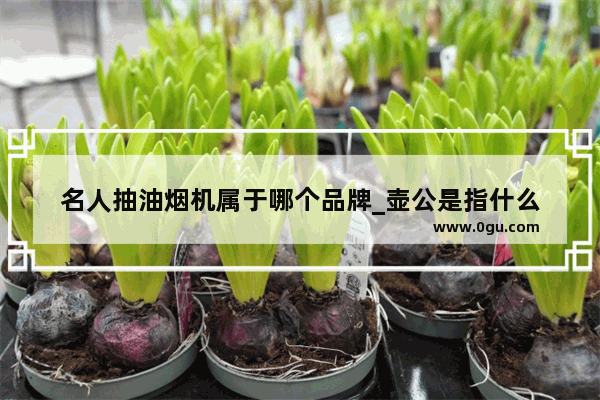 名人抽油烟机属于哪个品牌_壶公是指什么