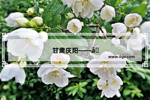 甘肃庆阳——历史文化的瑰宝