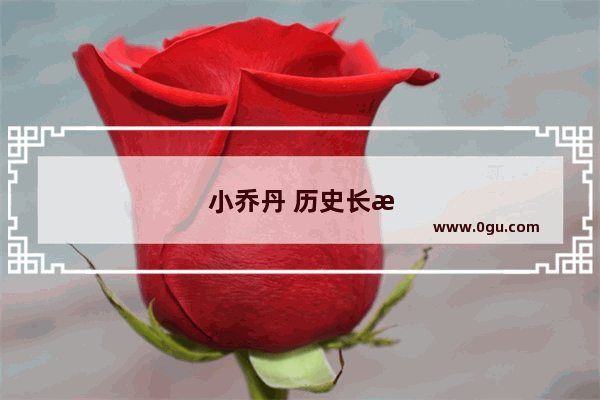 小乔丹 历史长河中的传奇人物