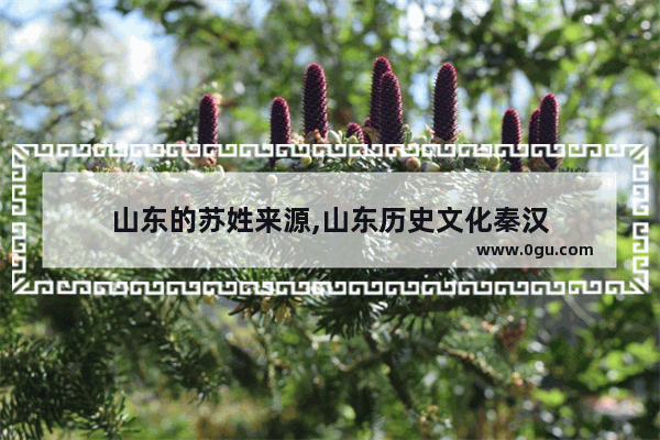 山东的苏姓来源,山东历史文化秦汉