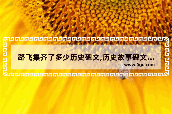 路飞集齐了多少历史碑文,历史故事碑文范文