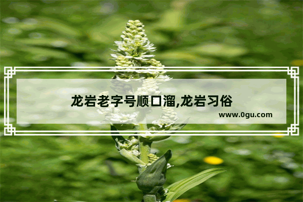 龙岩老字号顺口溜,龙岩习俗