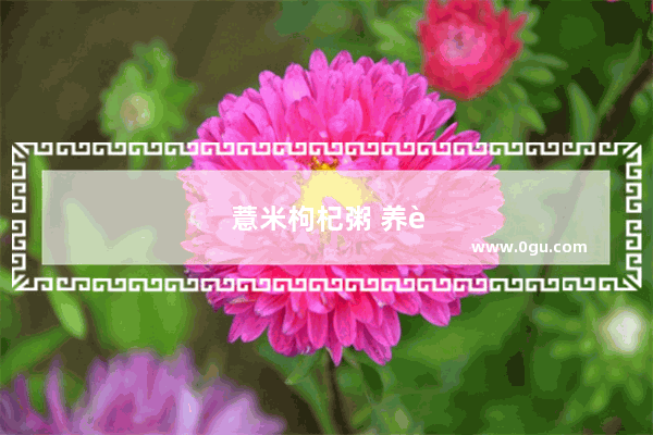 薏米枸杞粥 养身健体的美味之选