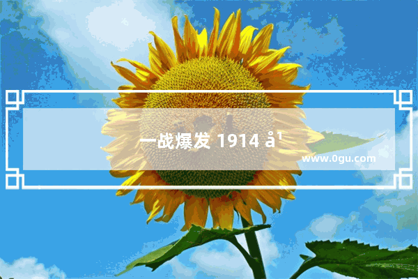 一战爆发 1914 年的世界历史事件