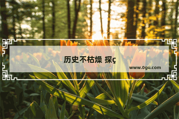 历史不枯燥 探索世界历史的奇妙之旅