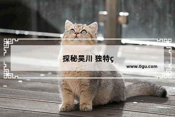 探秘吴川 独特的上香习俗