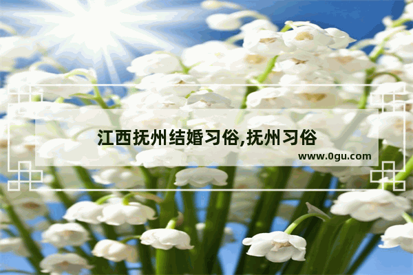 江西抚州结婚习俗,抚州习俗