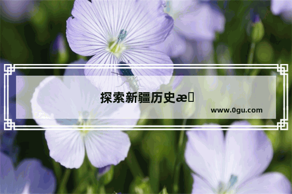 探索新疆历史文化的发展进程