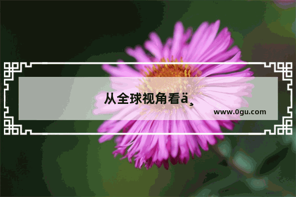 从全球视角看中国历史的辉煌与影响