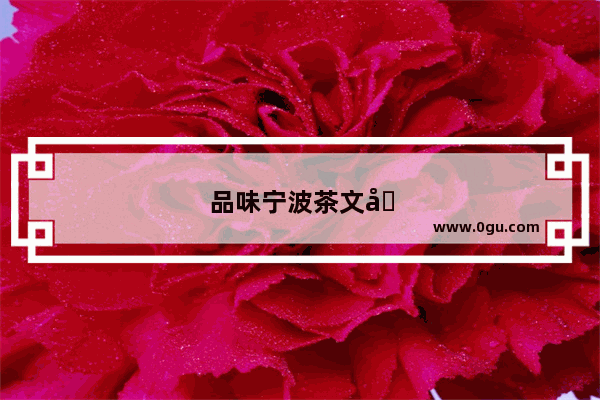 品味宁波茶文化 从饮茶习俗看甬城人的生活哲学