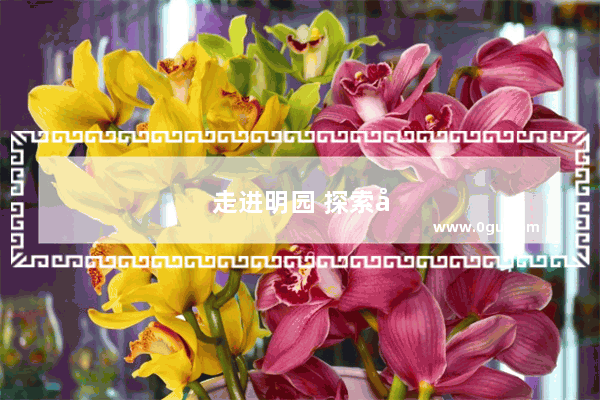 走进明园 探索历史的痕迹