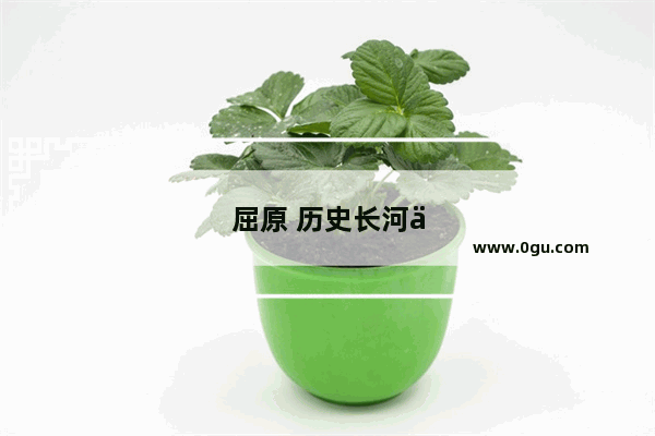 屈原 历史长河中的璀璨星辰