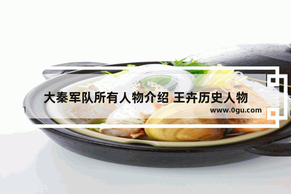 大秦军队所有人物介绍 王卉历史人物