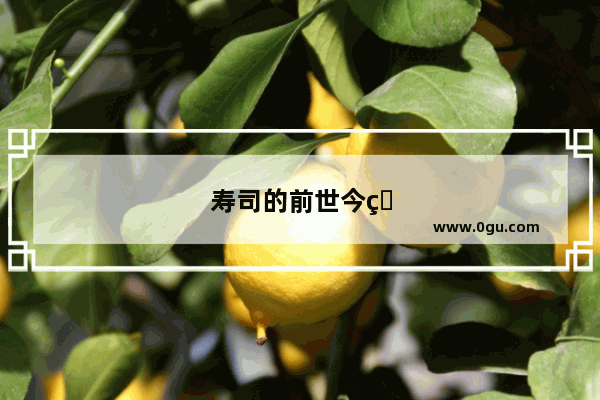 寿司的前世今生