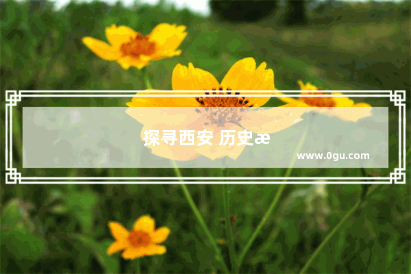 探寻西安 历史文化的宝库