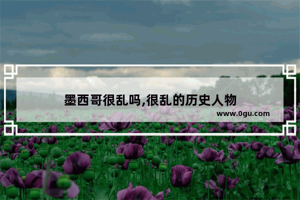 墨西哥很乱吗,很乱的历史人物