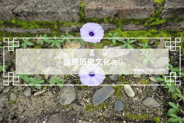 固原历史文化旅游知识