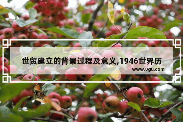 世贸建立的背景过程及意义,1946世界历史大背景