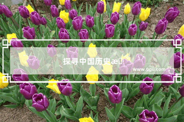 探寻中国历史文化名城