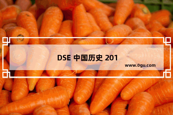 DSE 中国历史 2019——一场知识与文化的盛宴