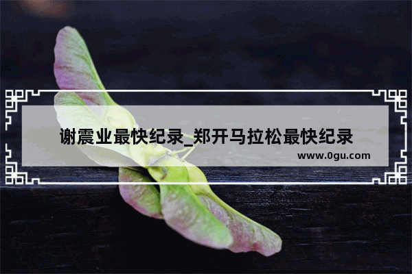 谢震业最快纪录_郑开马拉松最快纪录