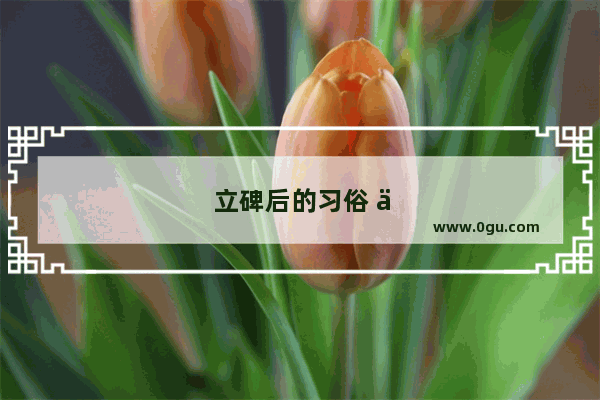 立碑后的习俗 传承与现代的交融