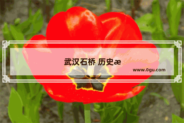武汉石桥 历史悠久的文化地标