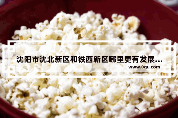 沈阳市沈北新区和铁西新区哪里更有发展_沈阳铁西区兴工北街北二路邮政编码多少