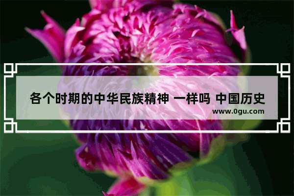 各个时期的中华民族精神 一样吗 中国历史特有性