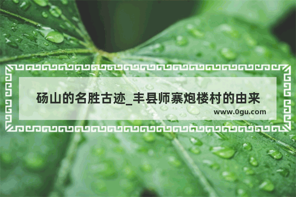 砀山的名胜古迹_丰县师寨炮楼村的由来