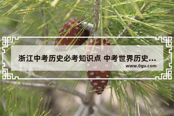 浙江中考历史必考知识点 中考世界历史考点选择汇总