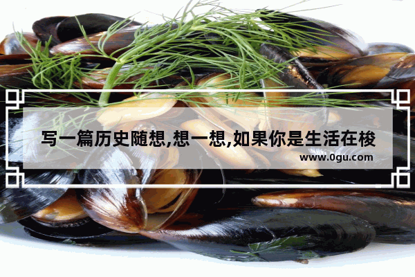 写一篇历史随想,想一想,如果你是生活在梭伦改革时代雅典的平民或贵族,梭伦的改革 中国历史故事随想