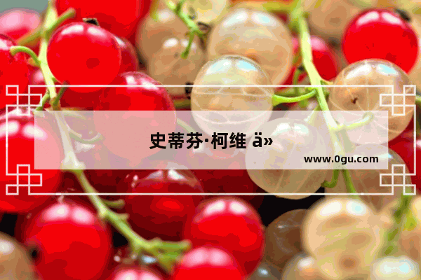 史蒂芬·柯维 从平凡到卓越的人生之旅