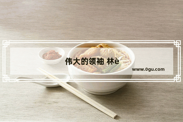 伟大的领袖 林肯的一生