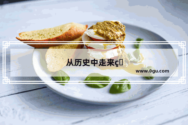 从历史中走来的英雄——霍去病